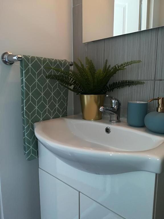 Guesthouse Smart بوخارست المظهر الخارجي الصورة