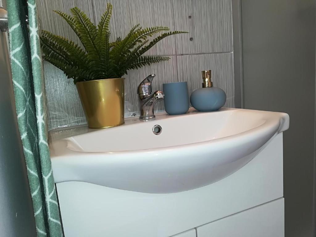 Guesthouse Smart بوخارست المظهر الخارجي الصورة